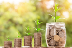 Inversi&#xf3; i fons d&#x2019;impacte 